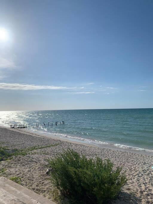La Casa Amarilla Frente Al Mar Villa Chelem Kültér fotó